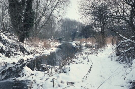 Mimram in the snow